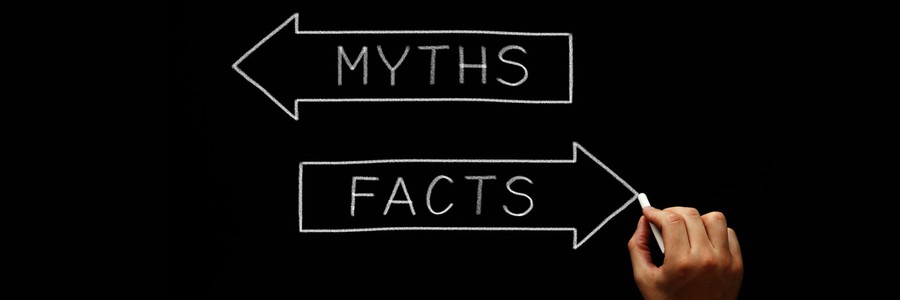 Fakty i mity monitoringu pojazdów